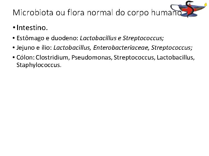 Microbiota ou flora normal do corpo humano • Intestino. • Estômago e duodeno: Lactobacillus