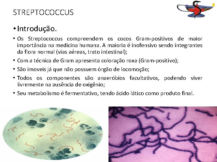 STREPTOCOCCUS • Introdução. • Os Streptococcus compreendem os cocos Gram-positivos de maior importância na