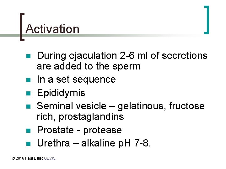 Activation n n n During ejaculation 2 -6 ml of secretions are added to