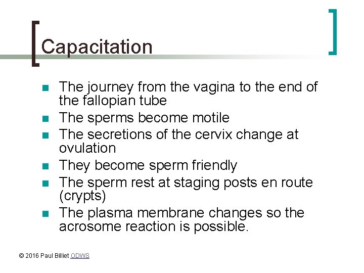 Capacitation n n n The journey from the vagina to the end of the