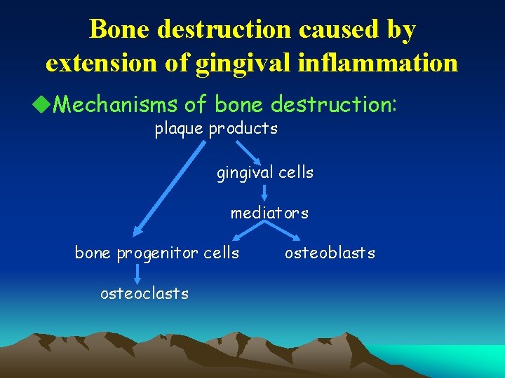 Bone destruction caused by extension of gingival inflammation u. Mechanisms of bone destruction: plaque