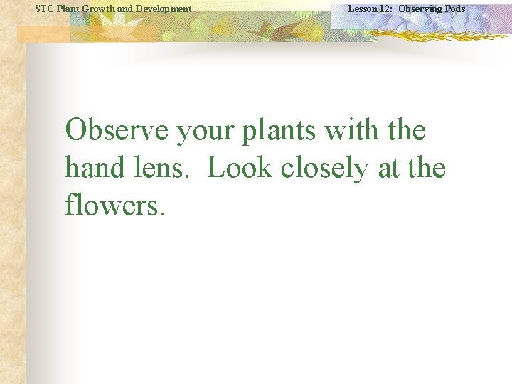 STC Plant Growth and Development Lesson 12: Observing Pods Observe your plants with the