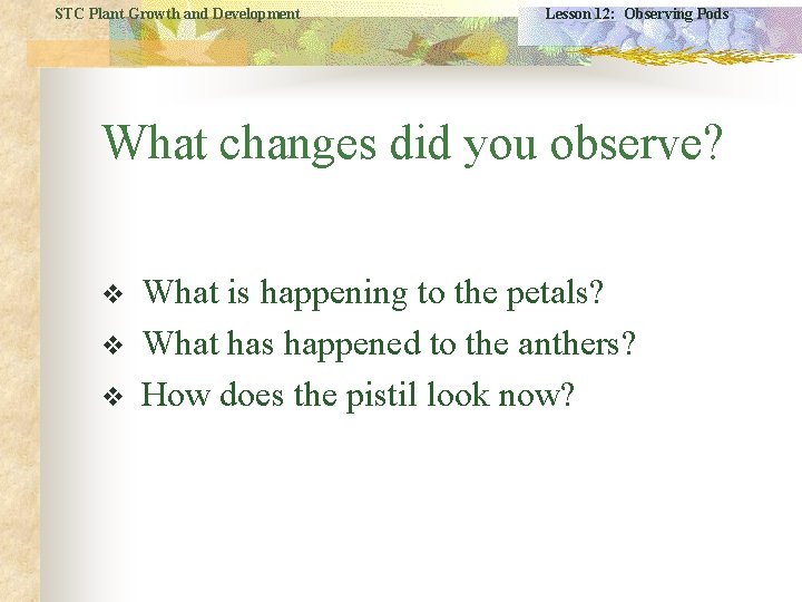 STC Plant Growth and Development Lesson 12: Observing Pods What changes did you observe?