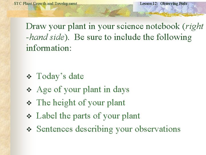 STC Plant Growth and Development Lesson 12: Observing Pods Draw your plant in your