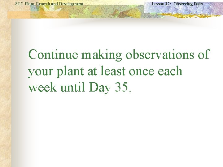 STC Plant Growth and Development Lesson 12: Observing Pods Continue making observations of your