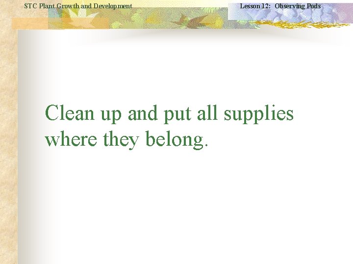 STC Plant Growth and Development Lesson 12: Observing Pods Clean up and put all