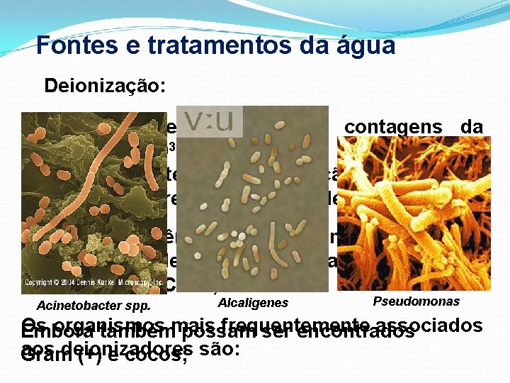 Fontes e tratamentos da água Deionização: Tipicamente deve se esperar contagens da ordem de