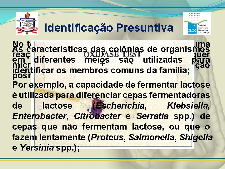 Identificação Presuntiva No teste de citocromo oxidase que revela uma As características das colônias