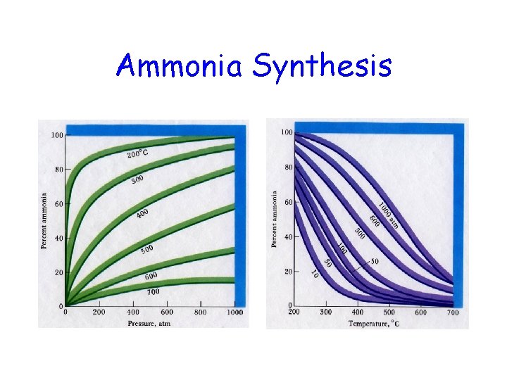 Ammonia Synthesis 
