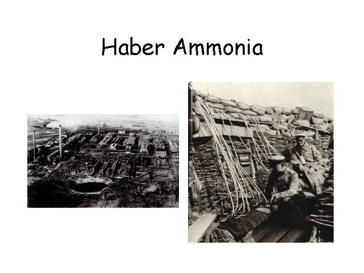 Haber Ammonia 