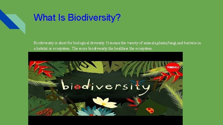 What Is Biodiversity? Biodiversity is short for biological diversity. It means the variety of