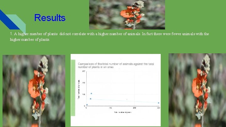 Results 1. A higher number of plants did not correlate with a higher number