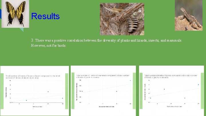 Results 3. There was a positive correlation between the diversity of plants and lizards,