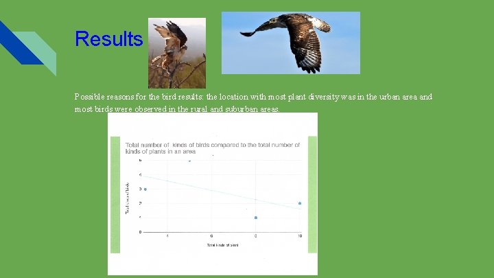 Results Possible reasons for the bird results: the location with most plant diversity was