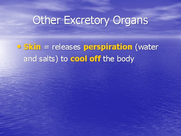 Other Excretory Organs • Skin = releases perspiration (water and salts) to cool off