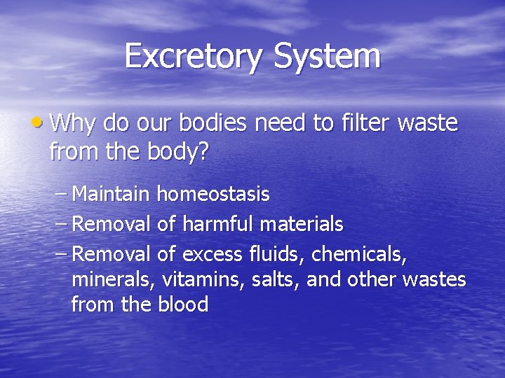 Excretory System • Why do our bodies need to filter waste from the body?