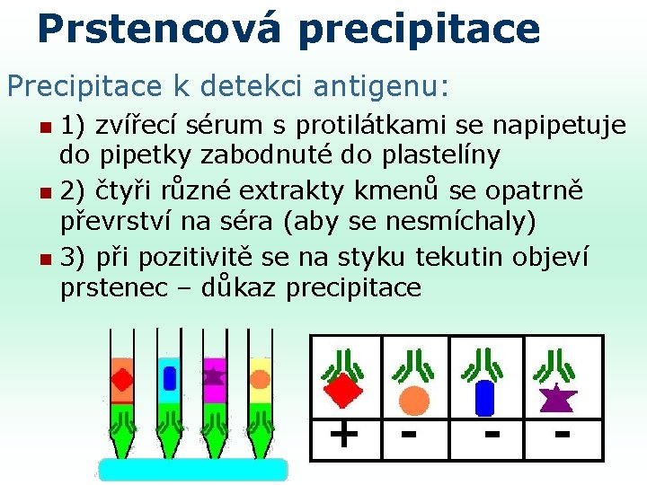 Prstencová precipitace Precipitace k detekci antigenu: 1) zvířecí sérum s protilátkami se napipetuje do