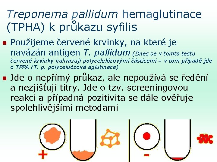 Treponema pallidum hemaglutinace (TPHA) k průkazu syfilis n Použijeme červené krvinky, na které je