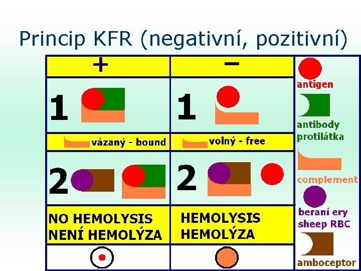 Princip KFR (negativní, pozitivní) 