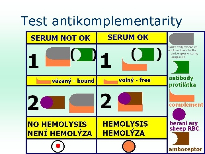 Test antikomplementarity 