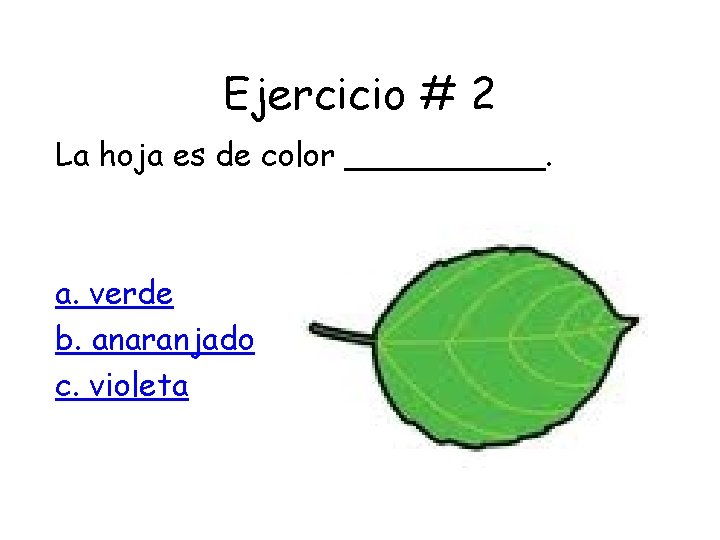 Ejercicio # 2 La hoja es de color _____. a. verde b. anaranjado c.