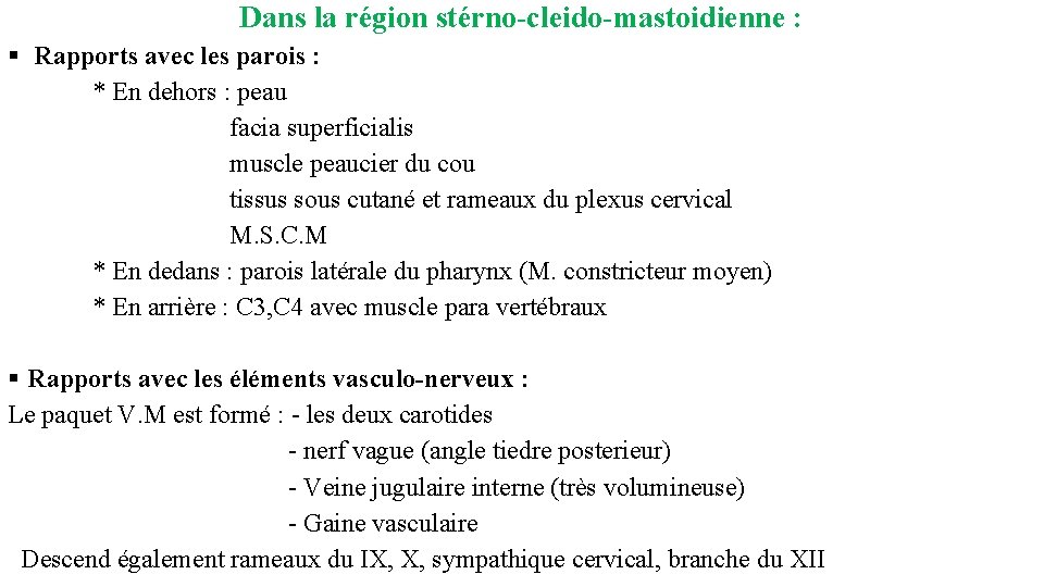 Dans la région stérno-cleido-mastoidienne : § Rapports avec les parois : * En dehors