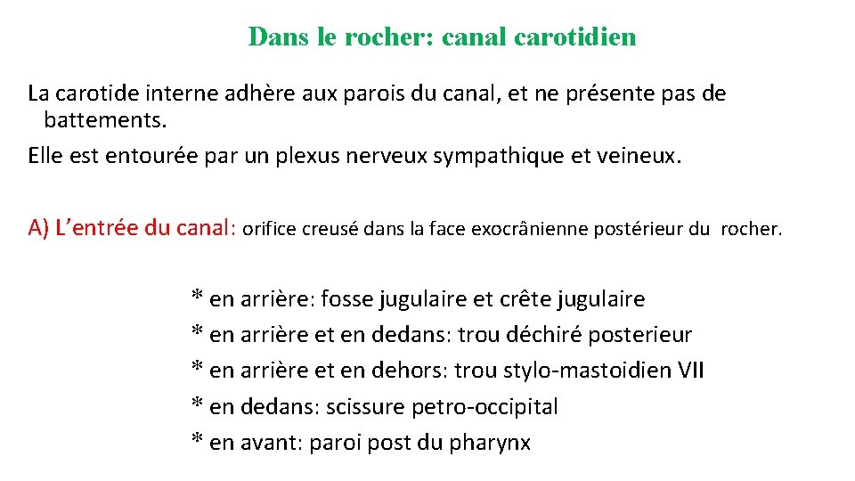 Dans le rocher: canal carotidien La carotide interne adhère aux parois du canal, et