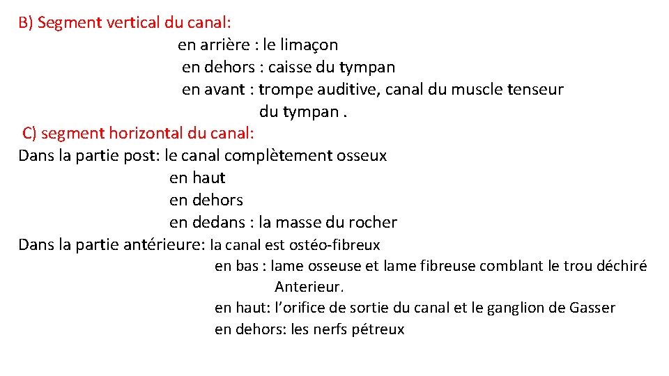 B) Segment vertical du canal: en arrière : le limaçon en dehors : caisse