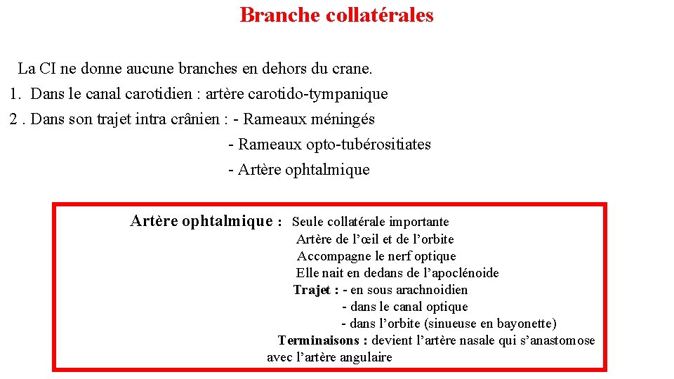 Branche collatérales La CI ne donne aucune branches en dehors du crane. 1. Dans