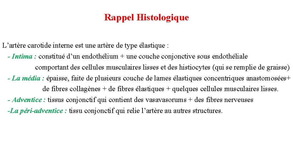 Rappel Histologique L’artère carotide interne est une artère de type élastique : - Intima