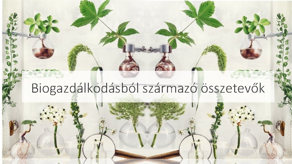 Biogazdálkodásból származó összetevők 