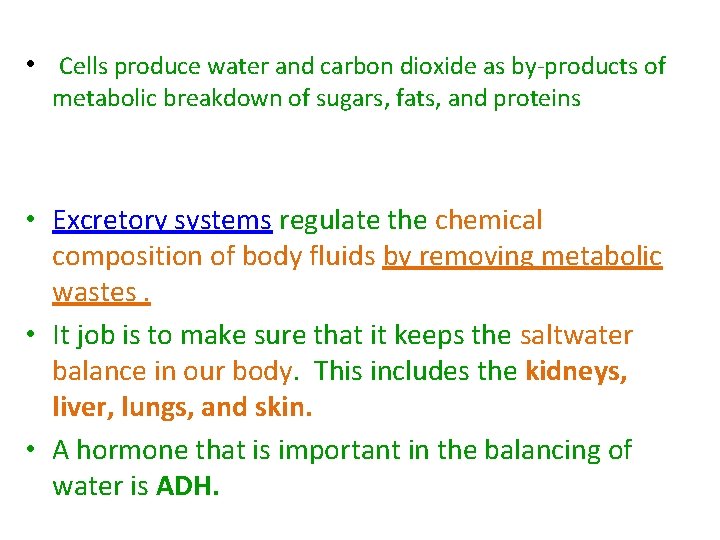  • Cells produce water and carbon dioxide as by-products of metabolic breakdown of