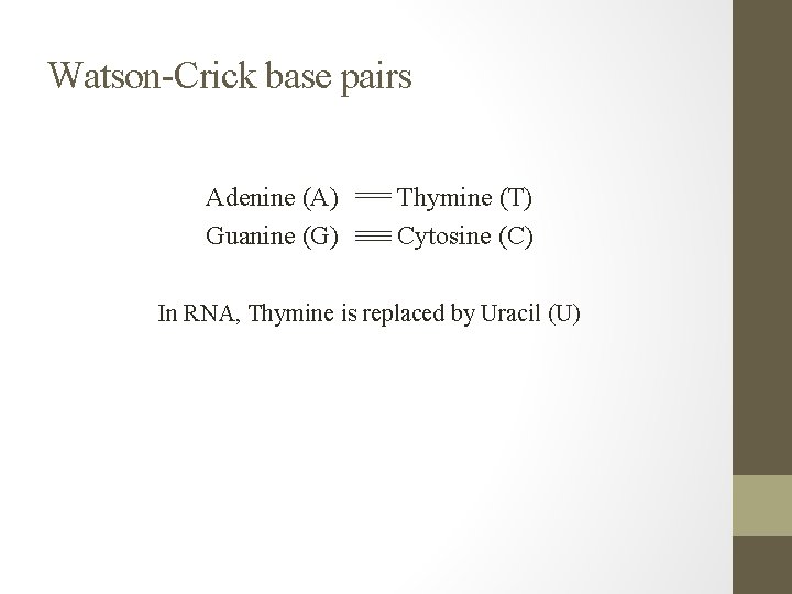 Watson-Crick base pairs Adenine (A) Guanine (G) Thymine (T) Cytosine (C) In RNA, Thymine