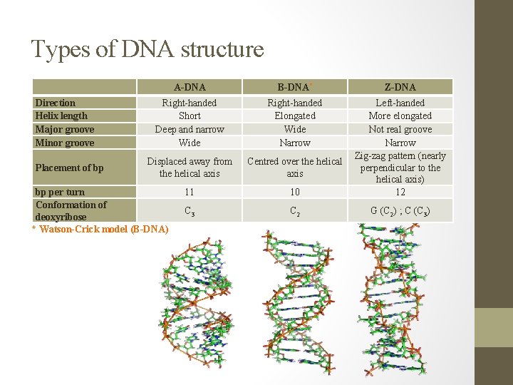 Types of DNA structure Direction Helix length Major groove Minor groove Placement of bp