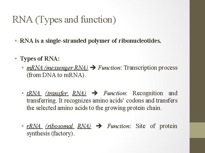 RNA (Types and function) • RNA is a single-stranded polymer of ribonucleotides. • Types