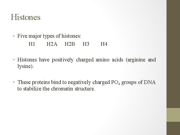 Histones • Five major types of histones: H 1 H 2 A H 2