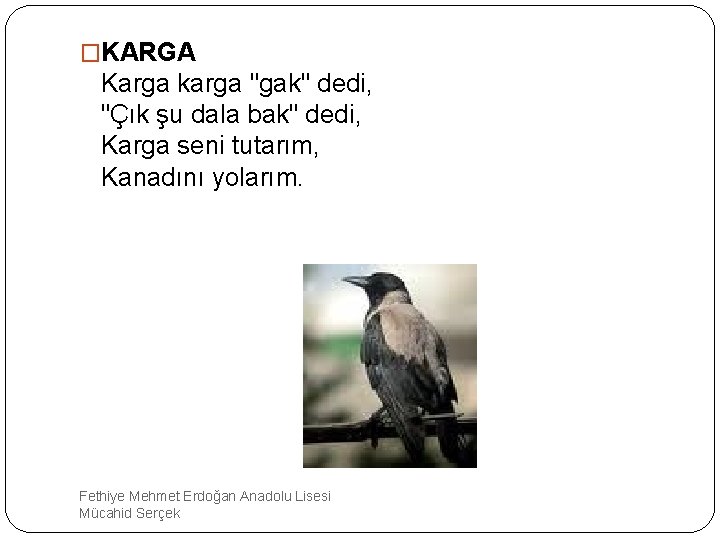 �KARGA Karga karga "gak" dedi, "Çık şu dala bak" dedi, Karga seni tutarım, Kanadını