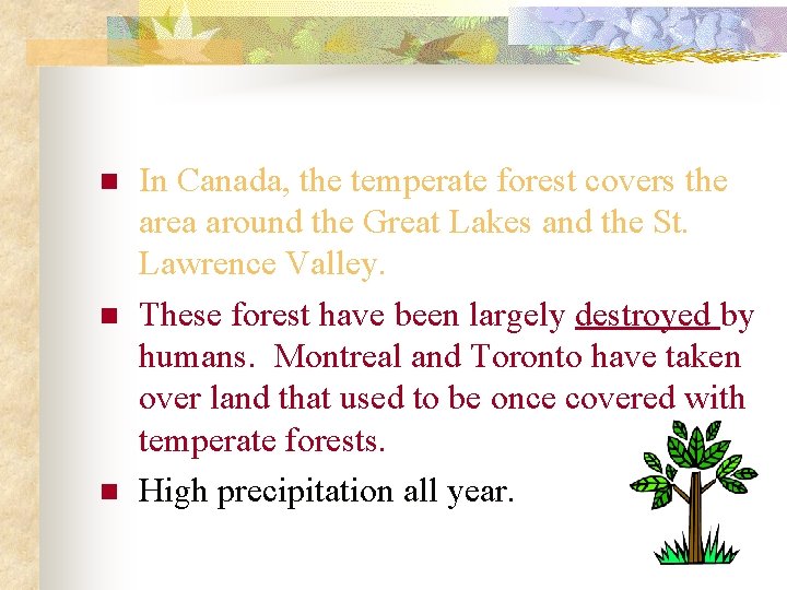 n n n In Canada, the temperate forest covers the area around the Great