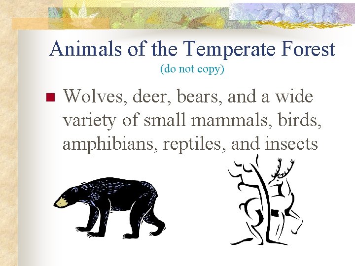 Animals of the Temperate Forest (do not copy) n Wolves, deer, bears, and a