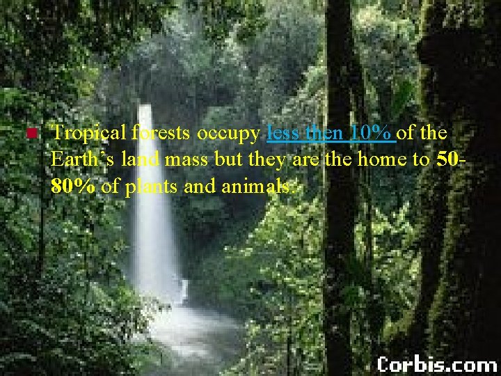 n Tropical forests occupy less then 10% of the Earth’s land mass but they