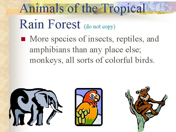 Animals of the Tropical Rain Forest (do not copy) n More species of insects,