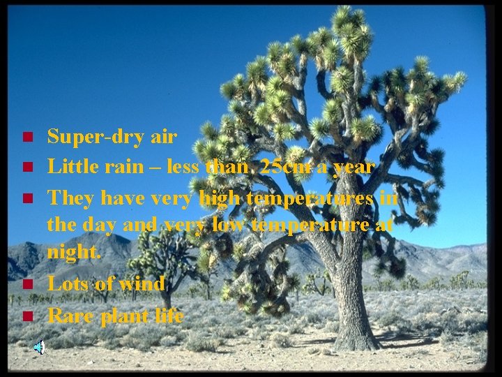 n n n Super-dry air Little rain – less than 25 cm a year