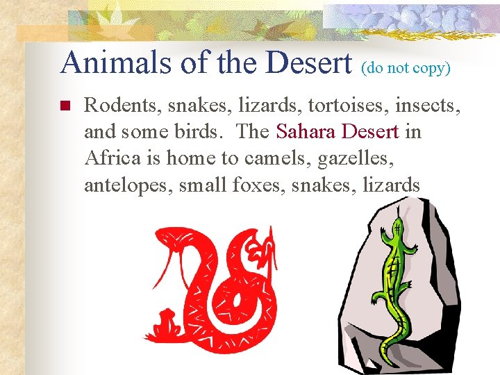 Animals of the Desert (do not copy) n Rodents, snakes, lizards, tortoises, insects, and