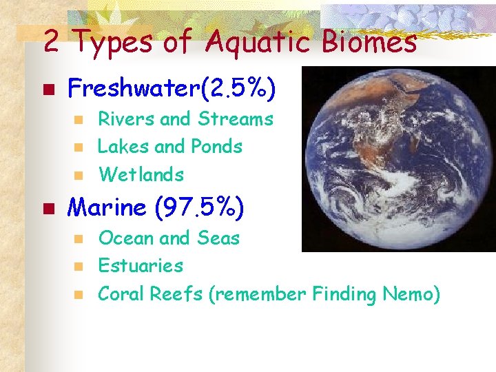 2 Types of Aquatic Biomes n Freshwater(2. 5%) n n Rivers and Streams Lakes