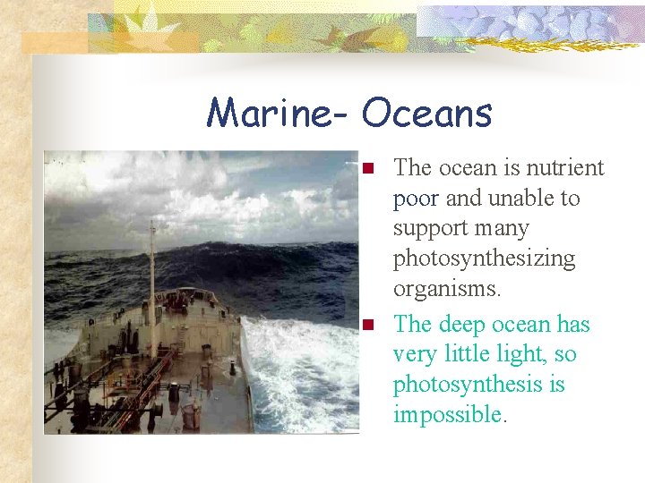 Marine- Oceans n n The ocean is nutrient poor and unable to support many