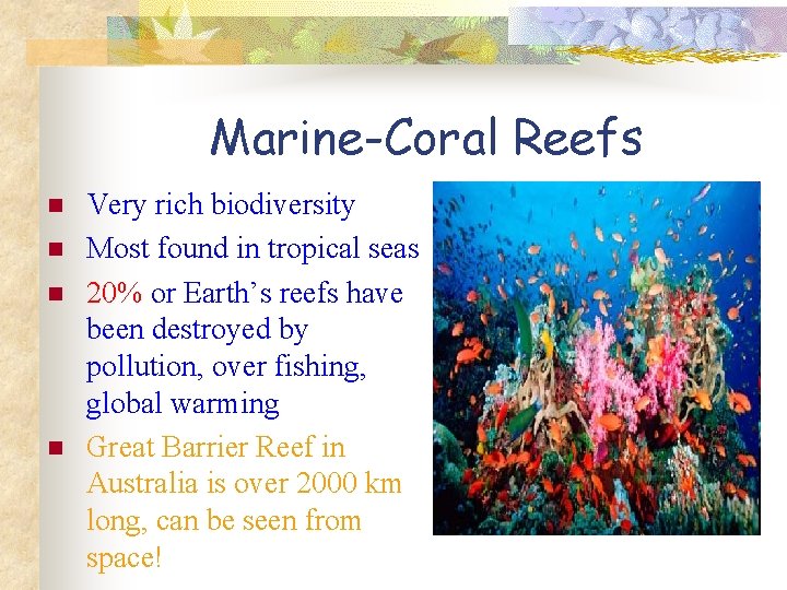 Marine-Coral Reefs n n Very rich biodiversity Most found in tropical seas 20% or