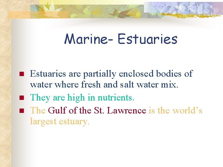 Marine- Estuaries n n n Estuaries are partially enclosed bodies of water where fresh