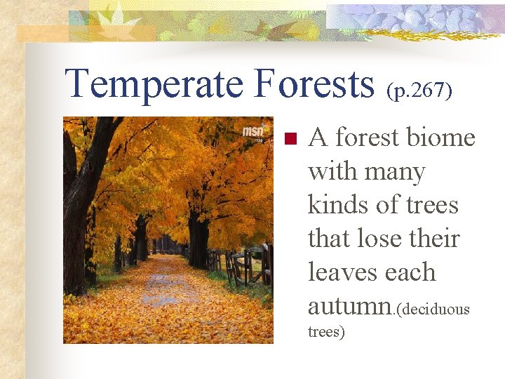 Temperate Forests (p. 267) n A forest biome with many kinds of trees that