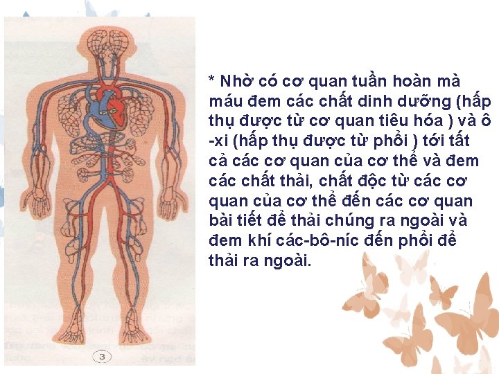 * Nhờ có cơ quan tuần hoàn mà máu đem các chất dinh dưỡng