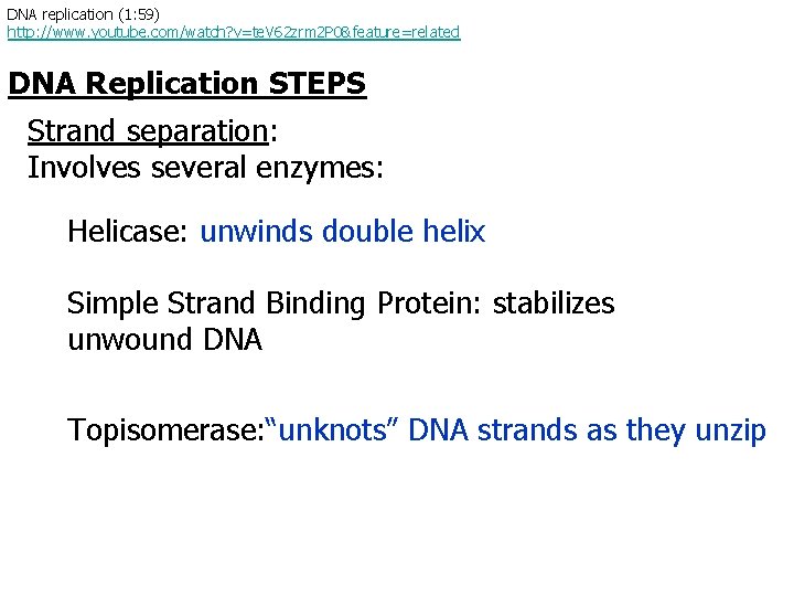 DNA replication (1: 59) http: //www. youtube. com/watch? v=te. V 62 zrm 2 P